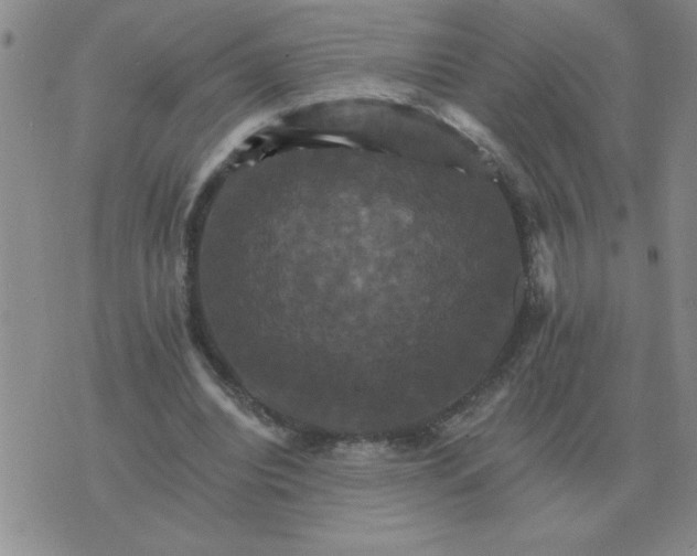 X0000075860440200610061941