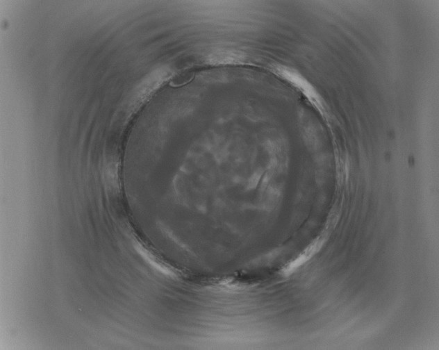 X0000075860441200610061941