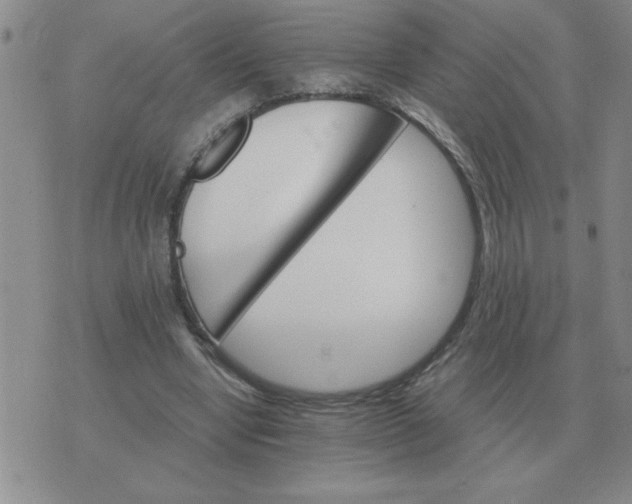 X0000075860442200610061941