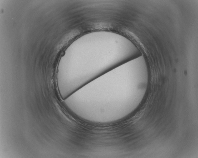 X0000075860443200610061941