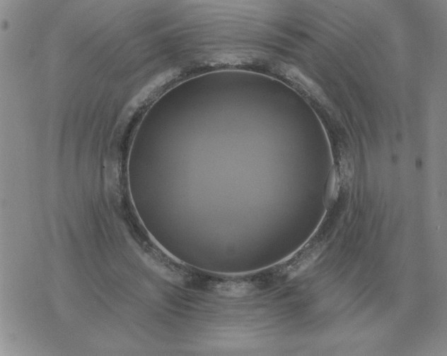 X0000075860444200610061941