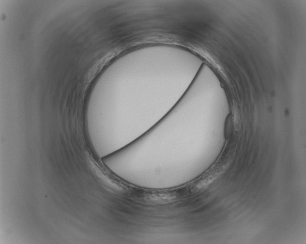 X0000075860445200610061941