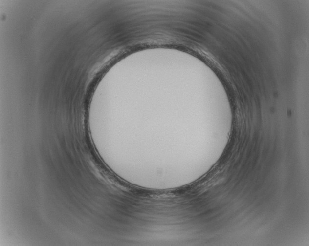 X0000075860446200610061941