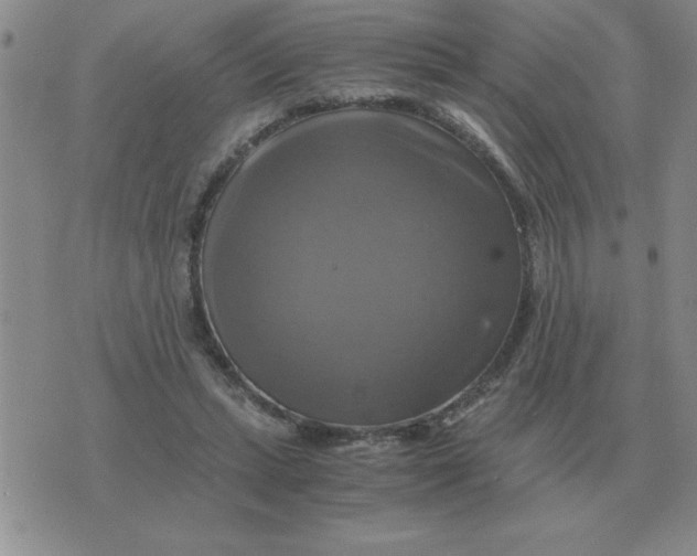 X0000075860447200610061941