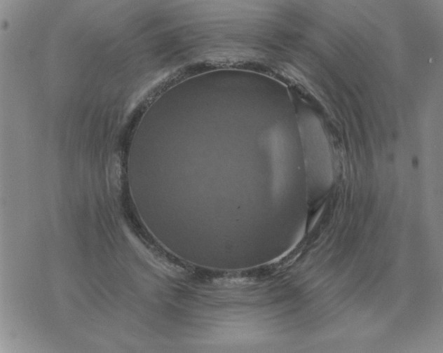 X0000075860448200610061941