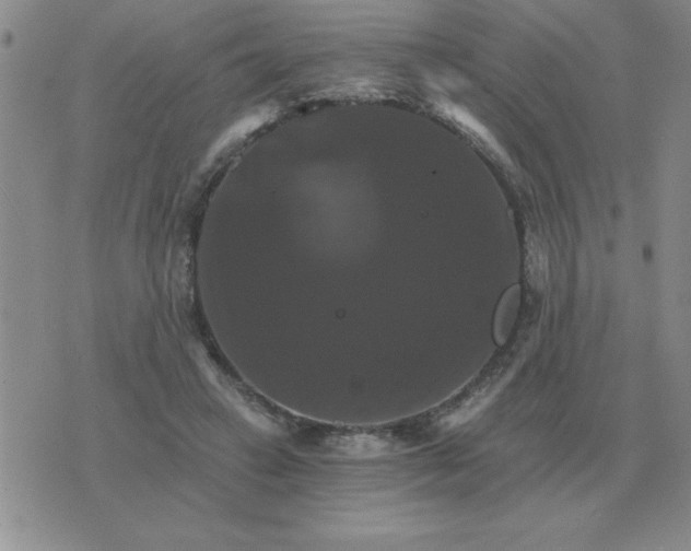 X0000075860449200610061941