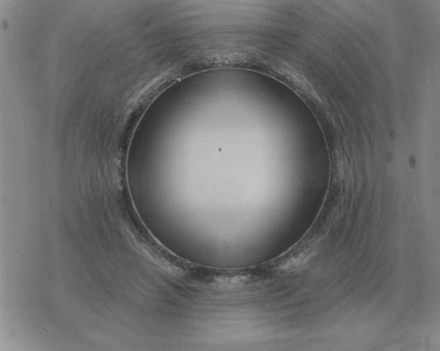 X0000075860450200610061941