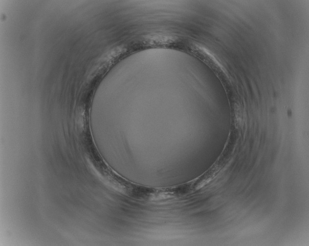 X0000075860451200610061941