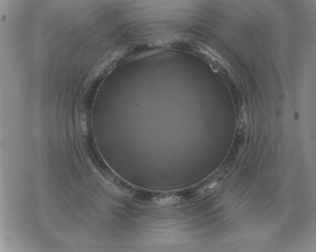 X0000075860452200610061941