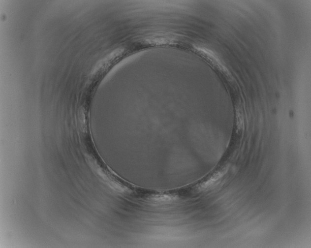 X0000075860453200610061941