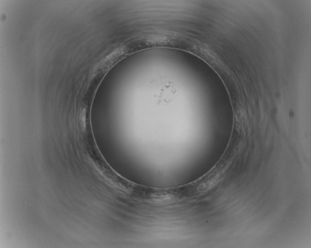 X0000075860454200610061941