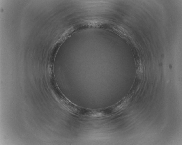 X0000075860456200610061941