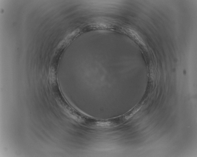 X0000075860457200610061941