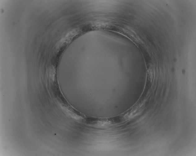 X0000075860458200610061941