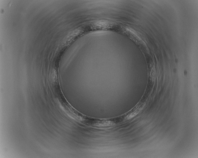 X0000075860459200610061941