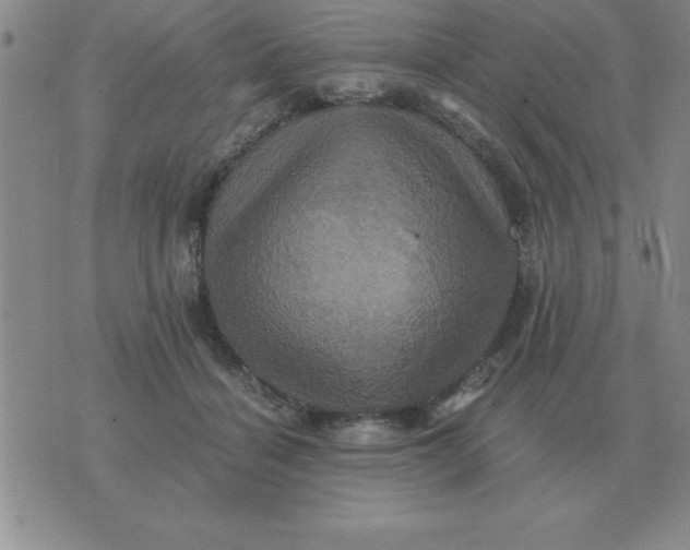 X0000075860460200610061941