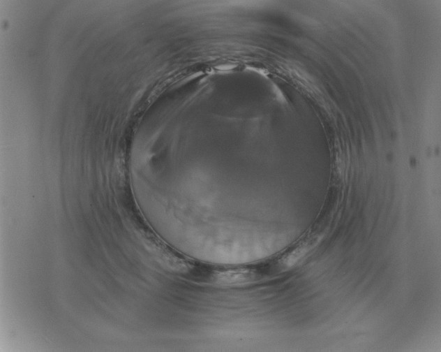 X0000075860461200610061941