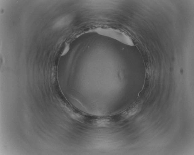 X0000075860462200610061941