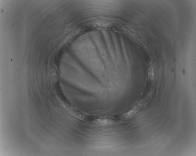 X0000075860464200610061941