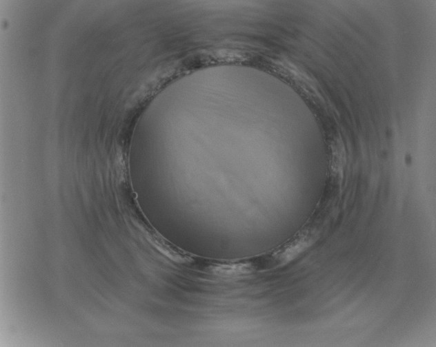 X0000075860465200610061941