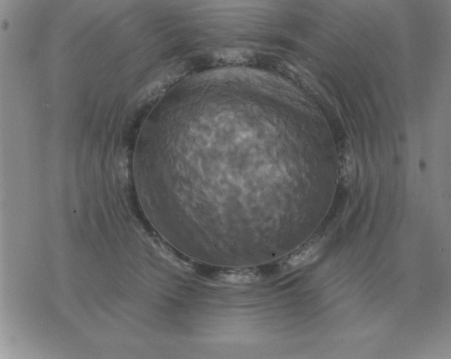 X0000075860466200610061941