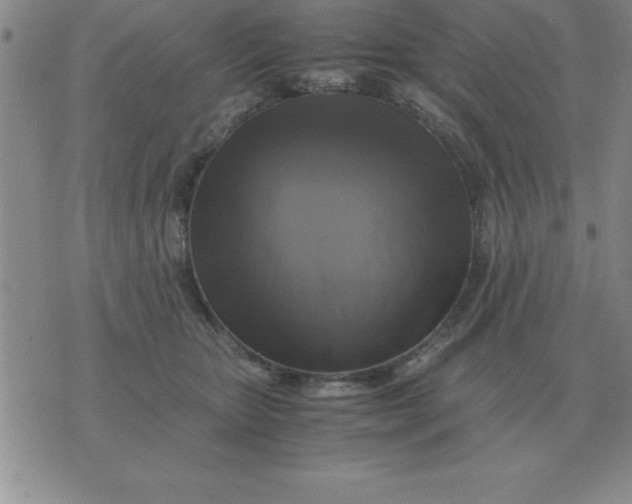 X0000075860467200610061941