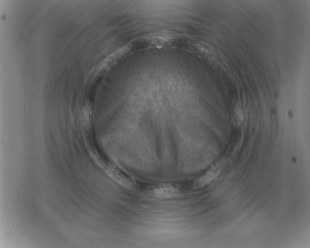 X0000075860468200610061941