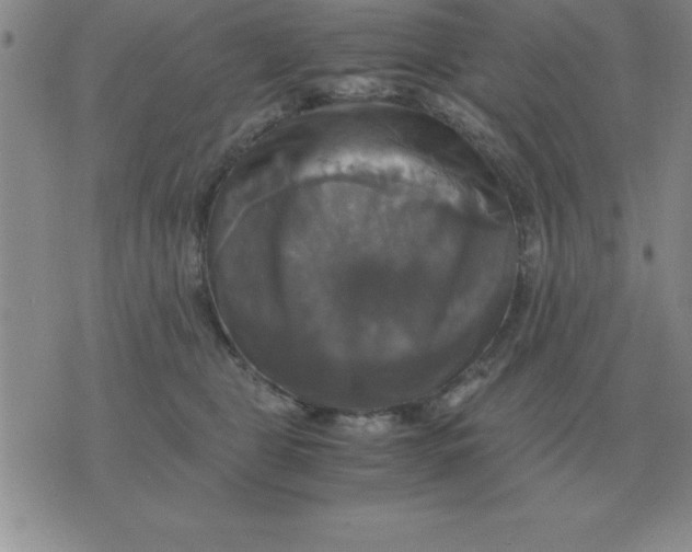 X0000075860469200610061941