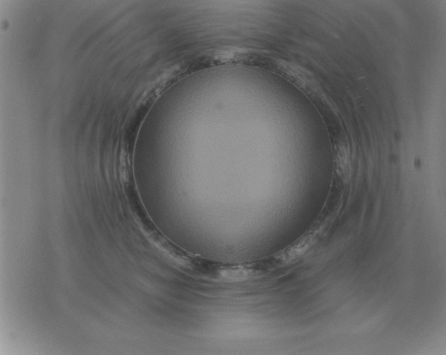 X0000075860470200610061941