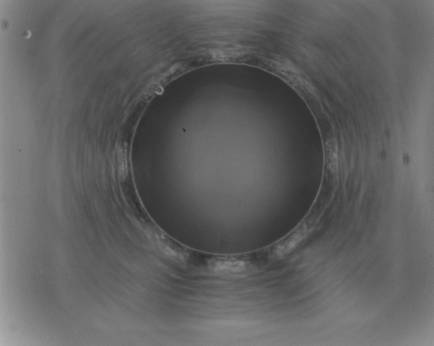 X0000075860471200610061941