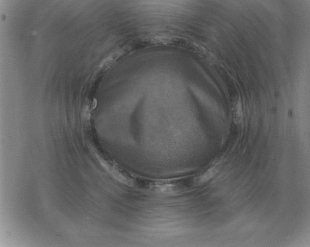 X0000075860472200610061941