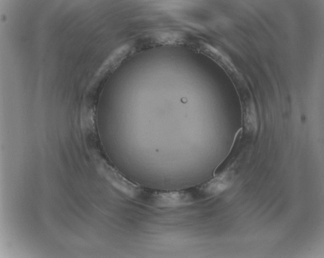 X0000075860473200610061941