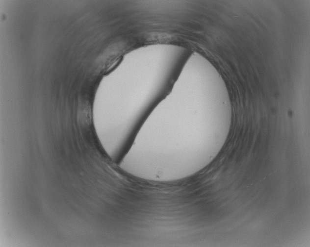 X0000075860474200610061942