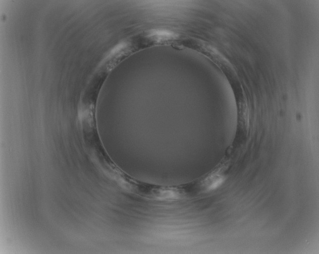 X0000075860475200610061942