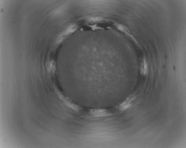 X0000075860476200610061942