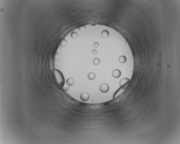 X0000075860479200610061942