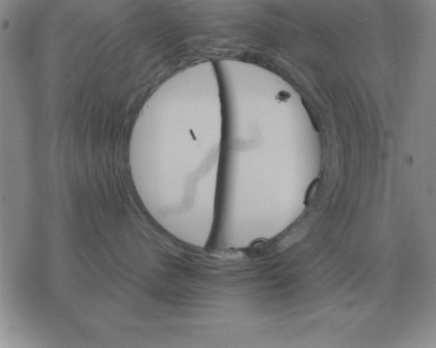 X0000075860480200610061942