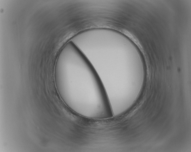 X0000075860481200610061941