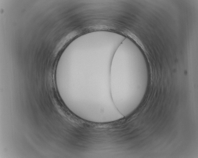 X0000075860482200610061941