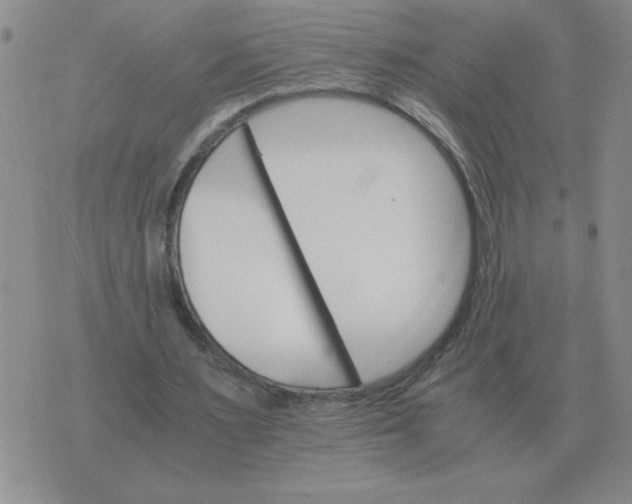 X0000075860483200610061941