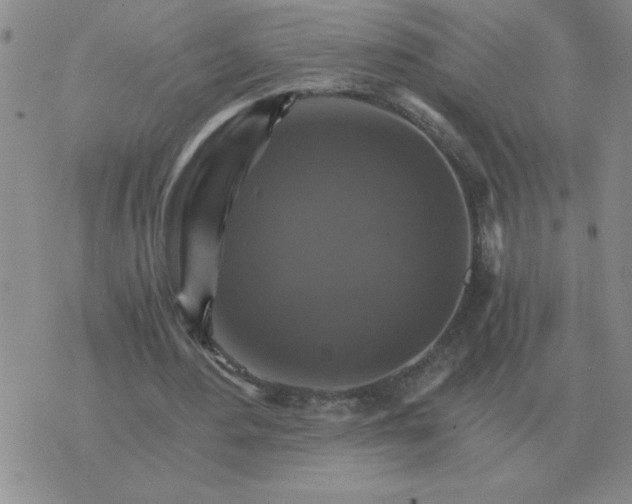 X0000075860484200610061941