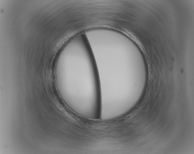 X0000075860485200610061941