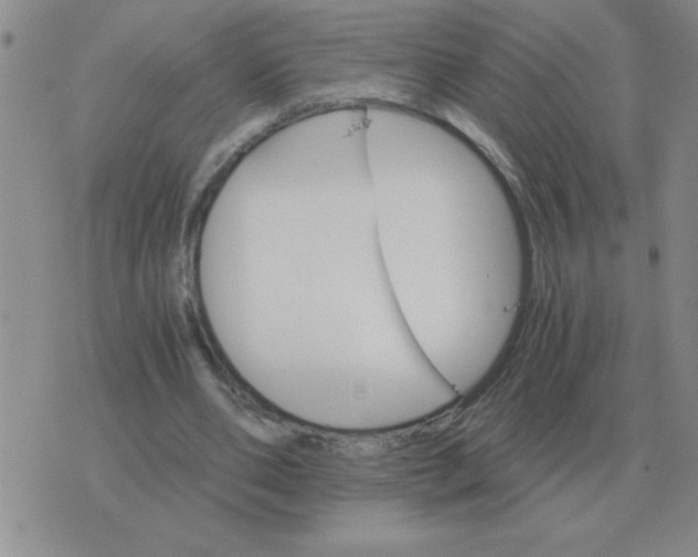 X0000075860486200610061941