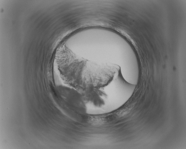 X0000075860487200610061941