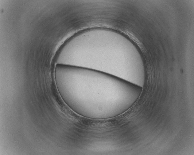 X0000075860488200610061941