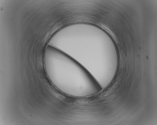 X0000075860489200610061941