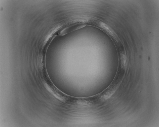 X0000075860490200610061941