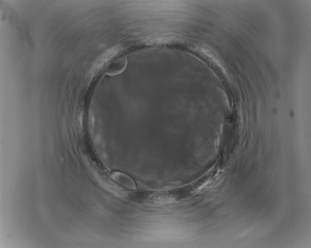 X0000075860491200610061941