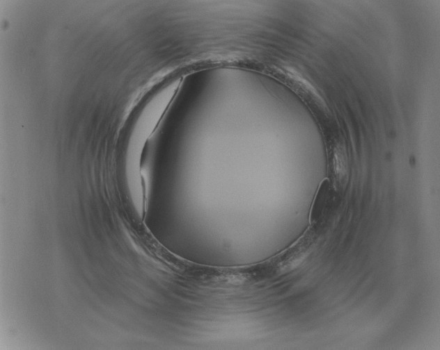 X0000075860492200610061941