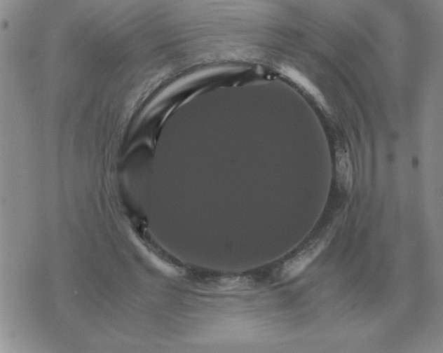 X0000075860493200610061941